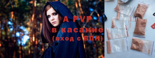 шишки Арсеньев