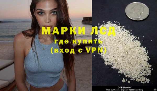 шишки Арсеньев