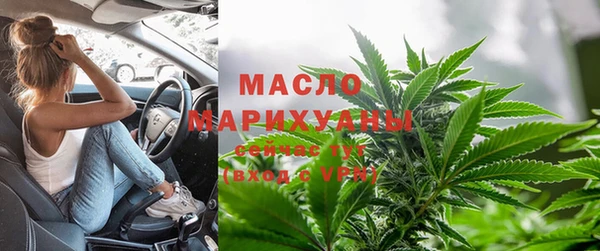 шишки Арсеньев