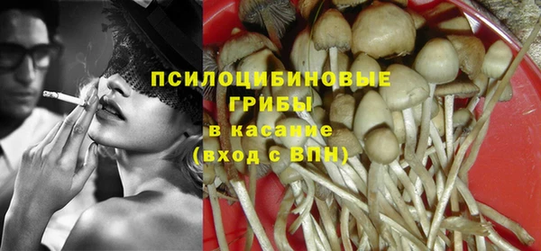 мескалин Осинники
