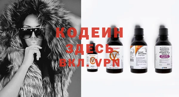 шишки Арсеньев