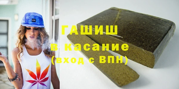 шишки Арсеньев