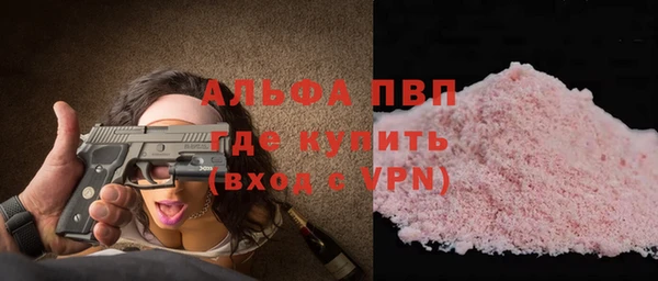 шишки Арсеньев
